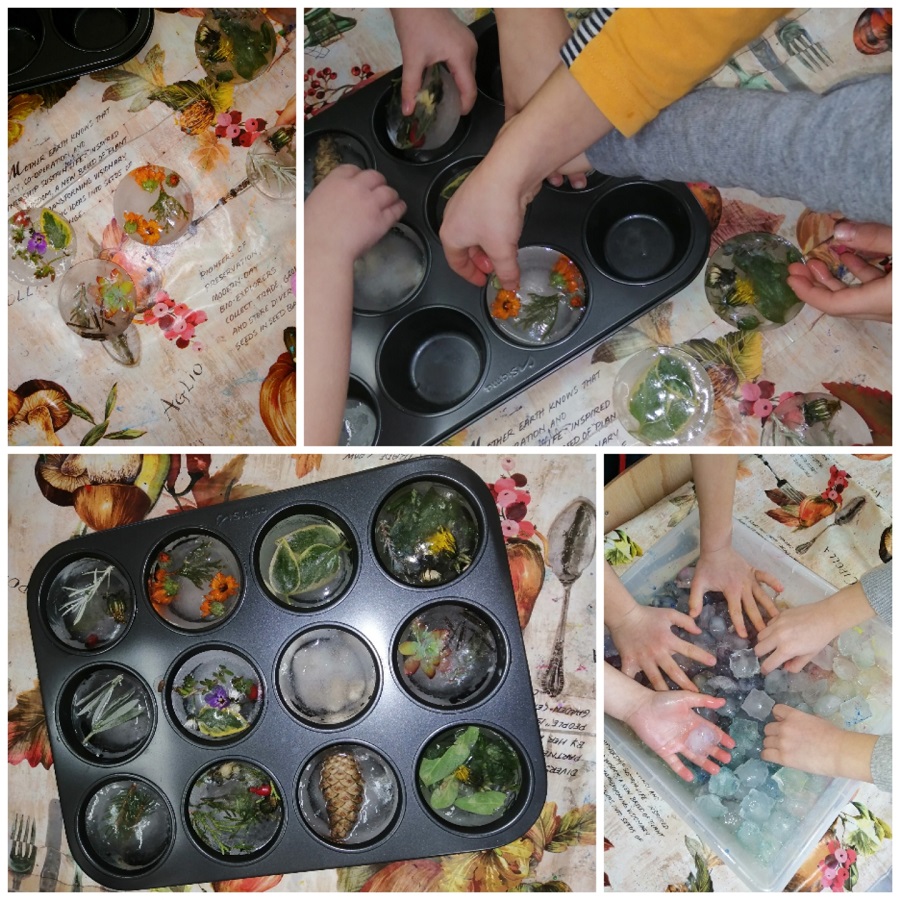 Collage 20220113 182643