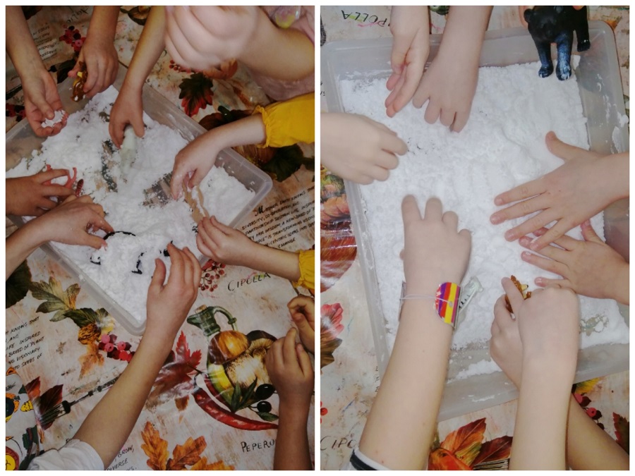 Collage 20220113 182742