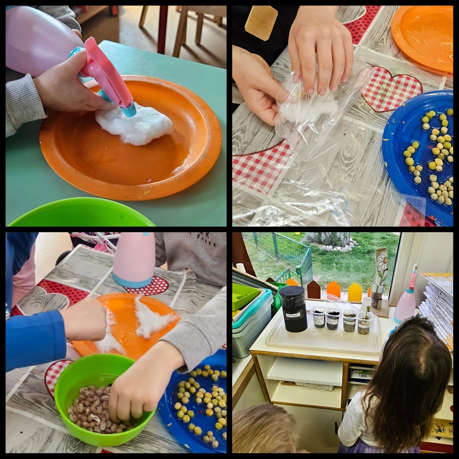 PhotoCollage 1743677924775