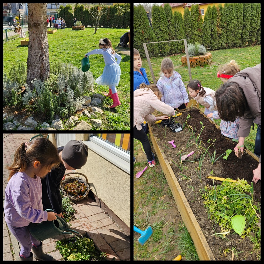 PhotoCollage 1743747585593