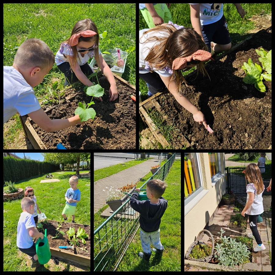 PhotoCollage 1746177082171