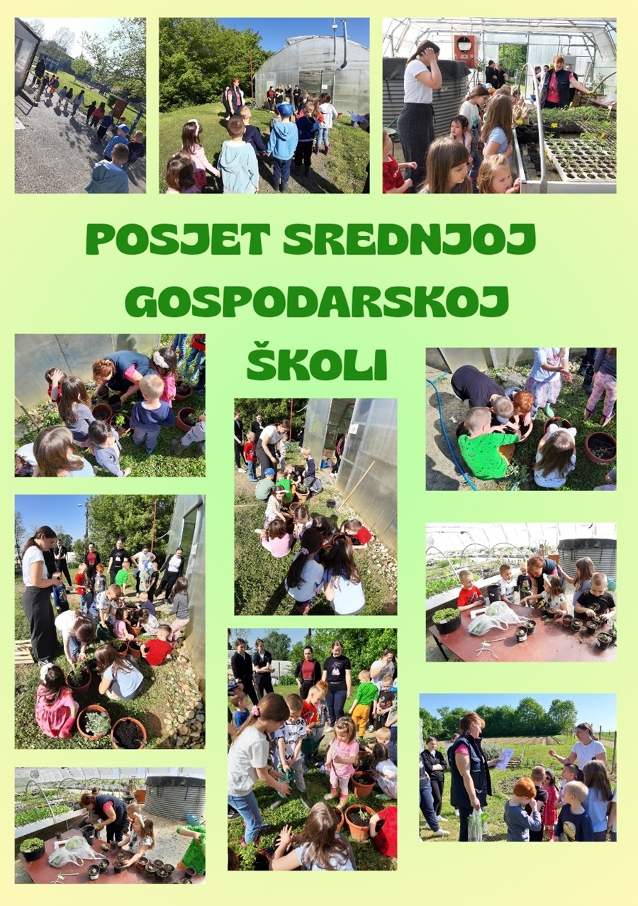 Screenshot 20250506 100622 Canva