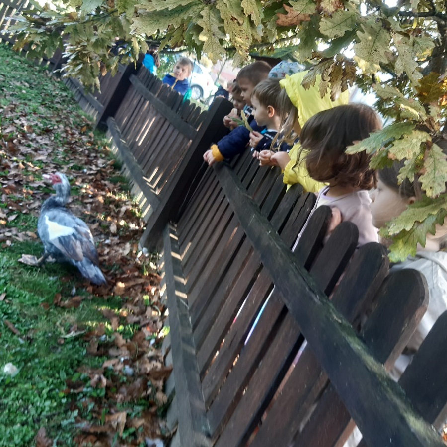 WhatsApp Image 2023 10 26 at 17.02.17